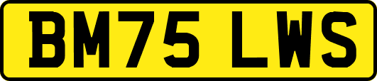 BM75LWS
