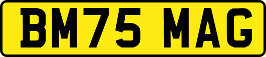 BM75MAG