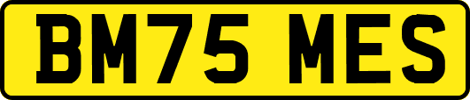 BM75MES