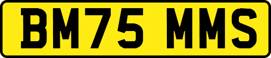 BM75MMS