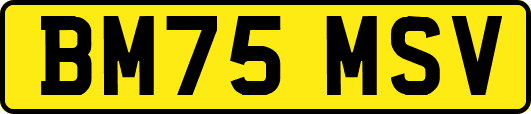 BM75MSV
