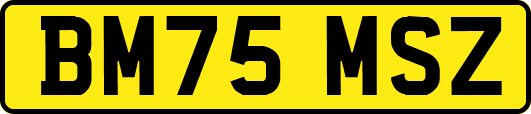 BM75MSZ