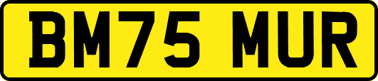 BM75MUR