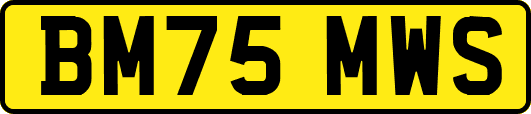 BM75MWS