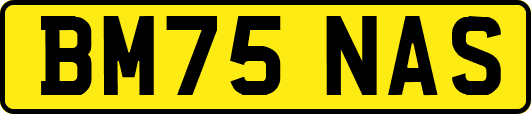 BM75NAS