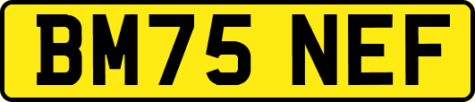BM75NEF
