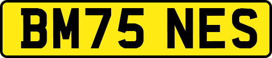 BM75NES