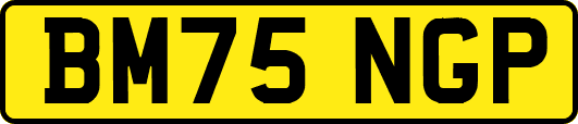 BM75NGP