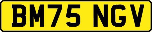 BM75NGV