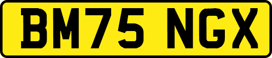 BM75NGX