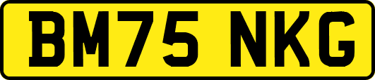 BM75NKG
