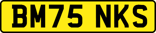 BM75NKS
