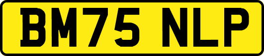BM75NLP