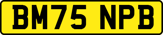 BM75NPB