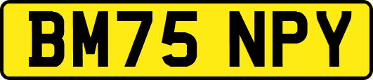 BM75NPY