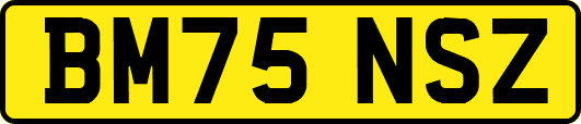 BM75NSZ