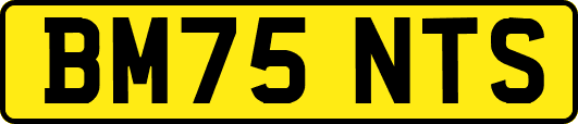 BM75NTS