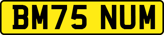 BM75NUM