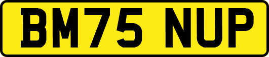 BM75NUP