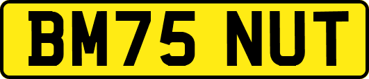 BM75NUT