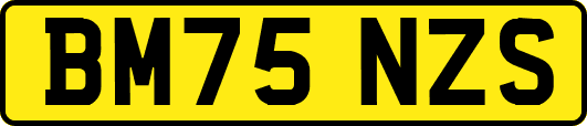 BM75NZS