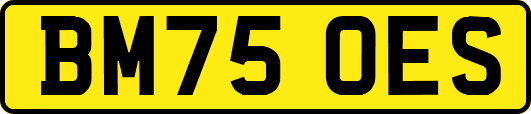 BM75OES