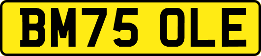 BM75OLE