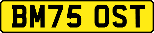 BM75OST