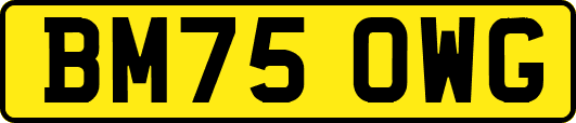BM75OWG