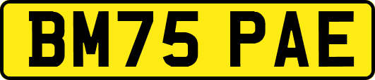 BM75PAE