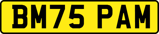 BM75PAM