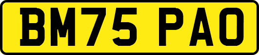 BM75PAO