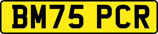 BM75PCR