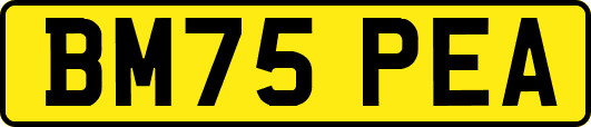 BM75PEA