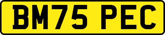 BM75PEC