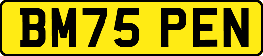 BM75PEN