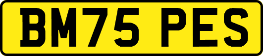BM75PES