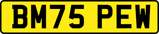 BM75PEW