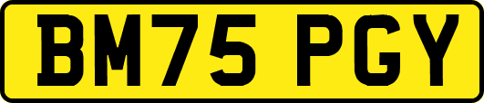 BM75PGY