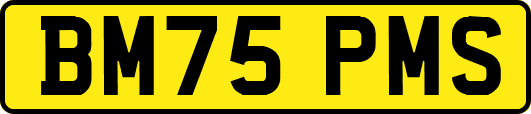 BM75PMS