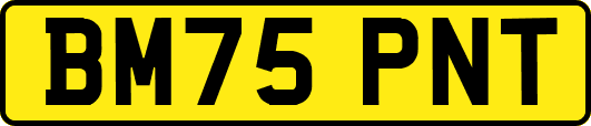BM75PNT