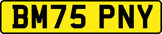 BM75PNY