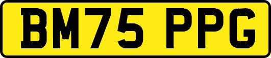 BM75PPG