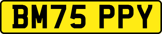 BM75PPY