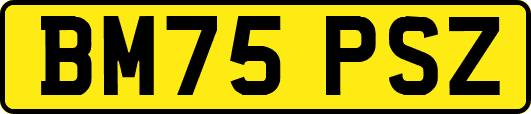 BM75PSZ