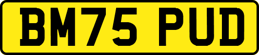 BM75PUD