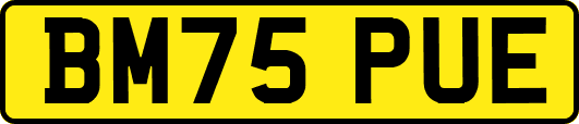 BM75PUE