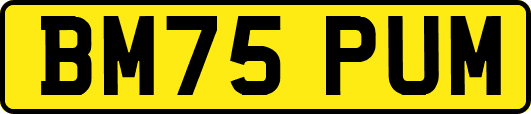 BM75PUM