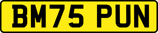 BM75PUN