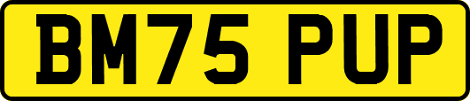 BM75PUP